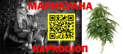 jwh Кингисепп