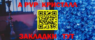 jwh Кингисепп