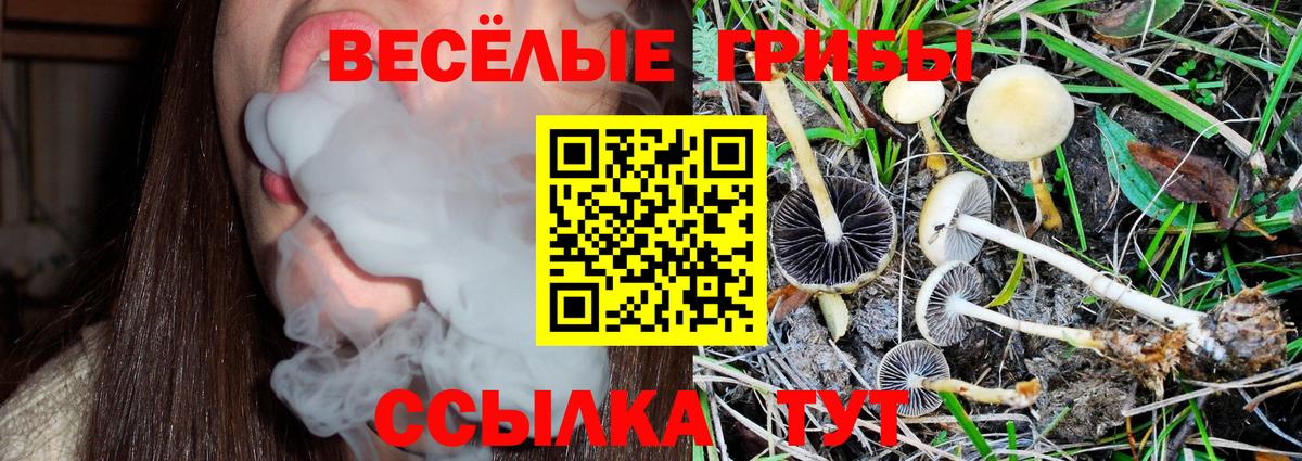 Галлюциногенные грибы мухоморы Крымск