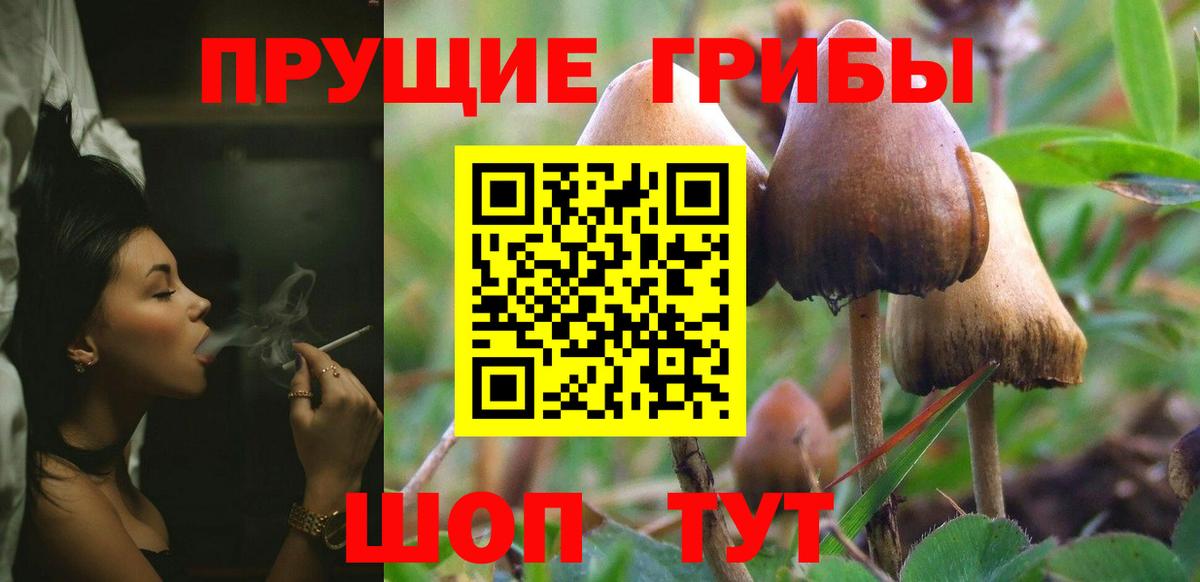 Псилоцибиновые грибы Magic Shrooms  Псилоцибиновые грибы прущие грибы  Вход с VPN  Крымск 